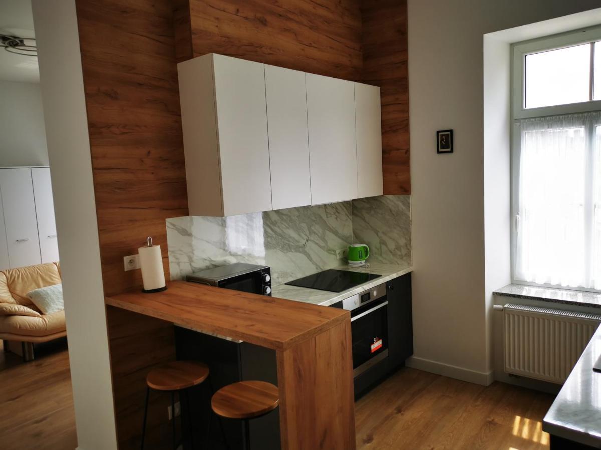 Apartamenty Przy Parku- Parking Gratis!!! Čenstochová Exteriér fotografie